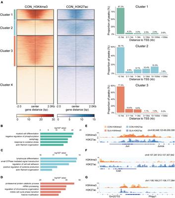 Glufosinate-Ammonium Induced Aberrant Histone Modifications in Mouse Sperm Are Concordant With Transcriptome in Preimplantation Embryos